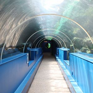 Great Barrier Reef Tunnel