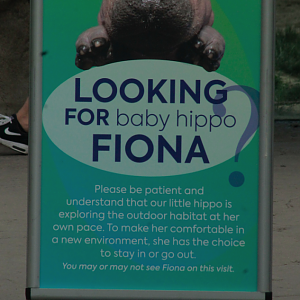 Jun. 2017 - Africa - Where's Fiona?