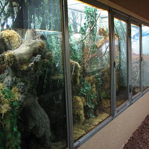 Terrarium Redecorated