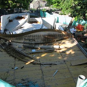 New Penguin Enclosure