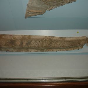 Protosphyraena ferox