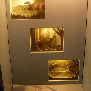 Dinosaur diorama
