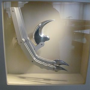 Dromaeosaurid foot model