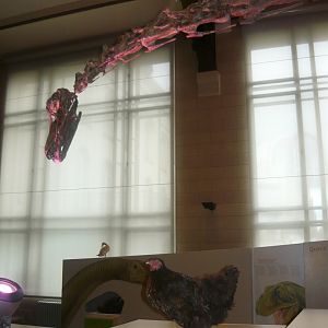 Chickens are dinosaurs