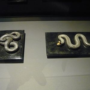 European adders