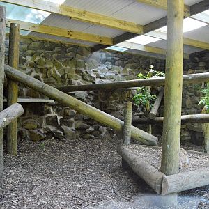 New lynx house extension