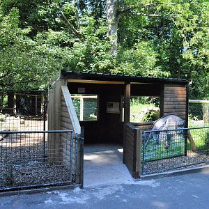 New viewing area between tapir and giant anteater enclosure