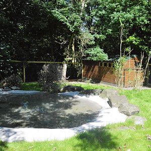 Second half of new giant anteater enclosure