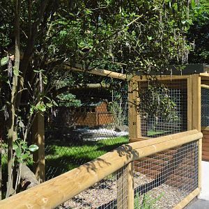 Viewing area for second half of new giant anteater enclosure