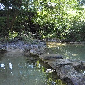 Asiatic short-clawed otter enclosure