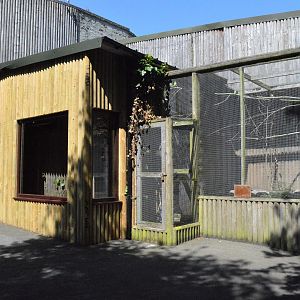 New build joined to orang house