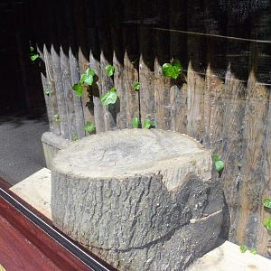 Inside the new build joined to the orang house