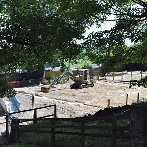 Demolished barn in farmyard