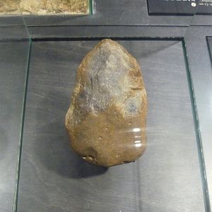 Homo habilis stone tool
