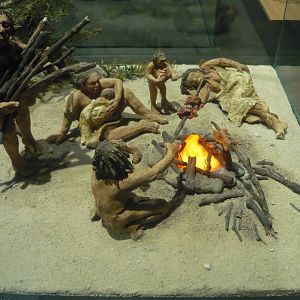 Neanderthal diorama