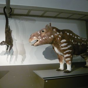 Fictional future mammals