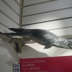 Fictional future marine animal