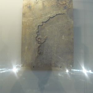 Snake species from the Messel Pit