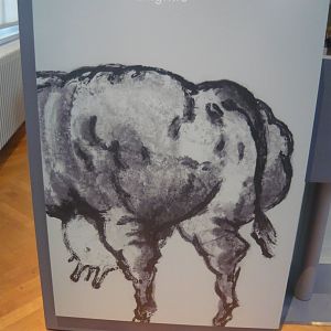 What??? Cow's backside?