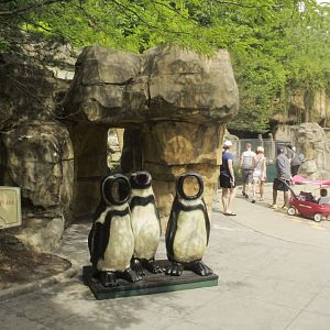 Jun. 2017 - Penguin Point