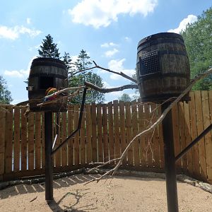 Hybrid Macaw Enclosure