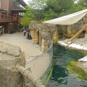 Jun. 2017 - Penguin Point + Front Entrance