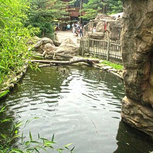 Jun. 2017 - Legends Of The Wild - First Side Of Waterfowl Exhibit