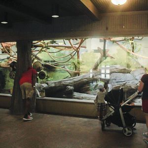 Jun. 2017 - Madagascar - First Half Of The Lemur Exhibit