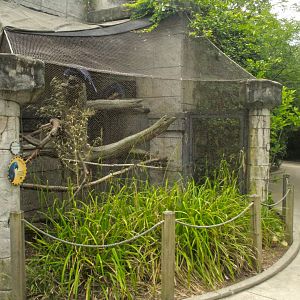 Jun. 2017 - Legends Of The Wild - Hyacinth Macaw Exhibit