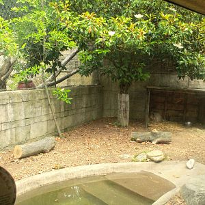 Jun. 2017 - Legends Of The Wild - Capybara + Jaguar Exhibits