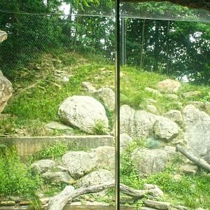 Jun. 2017 - Legends Of The Wild - Left Side Of The Jaguar Exhibit