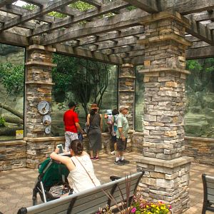 Jun. 2017 - Legends Of The Wild - Snow Leopard + Himalayan Tahr Exhibits