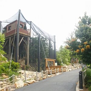 Jun. 2017 - Grizzly Ridge - Aviary