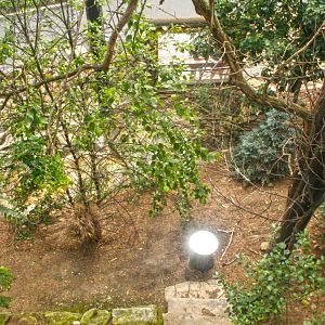 Jun. 2017 - Grizzly Ridge - Aviary