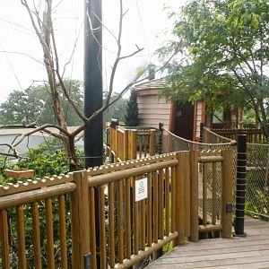 Jun. 2017 - Grizzly Ridge - Aviary Viewing Deck