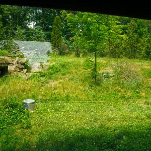 Jun. 2017 - Grizzly Ridge - Red Wolf Exhibit - Second View