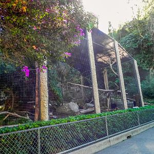 Big Cat Trail 11/13/2013