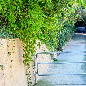 Big Cat Trail 11/13/2013