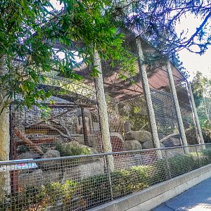 Big Cat Trail 11/13/2013