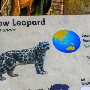 Big Cat Trail 11/13/2013