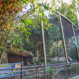 Big Cat Trail 11/13/2013