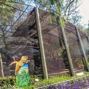 Big Cat Trail 11/13/2013