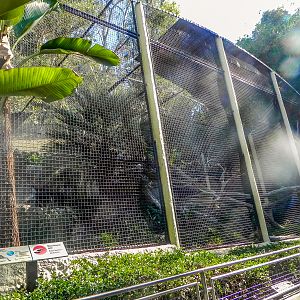 Big Cat Trail 11/13/2013