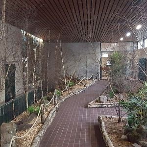 New look for the big cat house