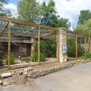 Hamerkop, Vulturine Guineafowl and Spektacled Pigeon Aviary