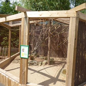 Village Weaver Aviary