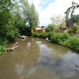 Pink-Backed Pelican Enclosure