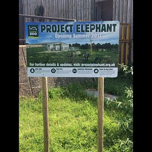 Project Elephant Signage
