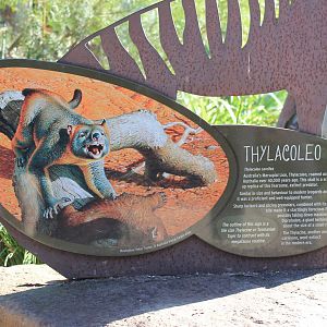 Thylacoleo signage