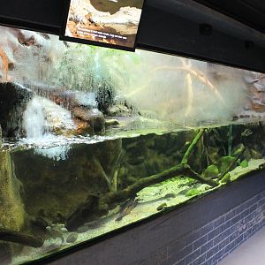 mixed exhibit, Reptile House